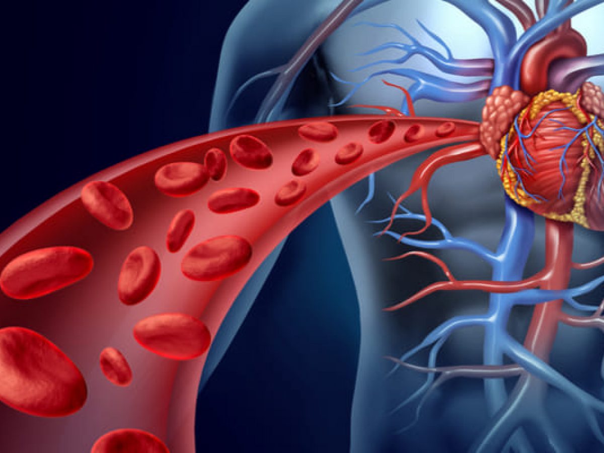 Riesgo cardiovascular a 10 años según la adiposidad central en el  envejecimiento femenino